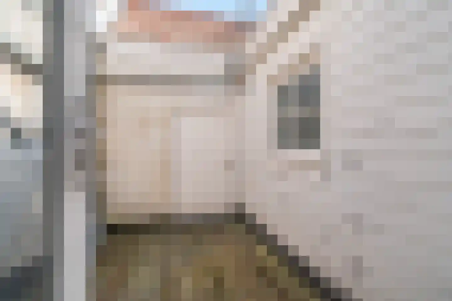 Maliestraat 5 A Den Haag thumbnail 9