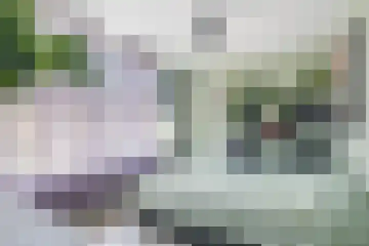 Malingréstraat 3 Oudheusden thumbnail 15