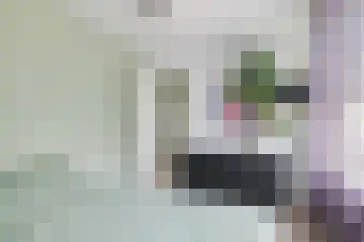 Malingréstraat 3 Oudheusden thumbnail 17