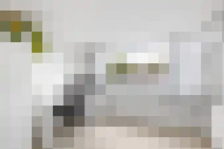 Malingréstraat 3 Oudheusden thumbnail 26
