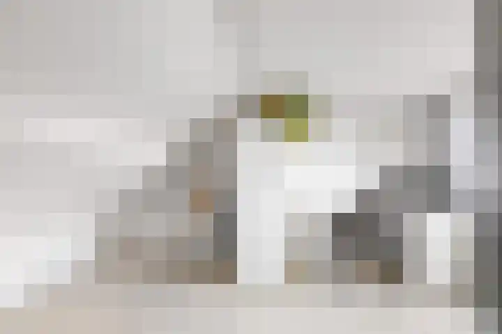 Malingréstraat 3 Oudheusden thumbnail 29
