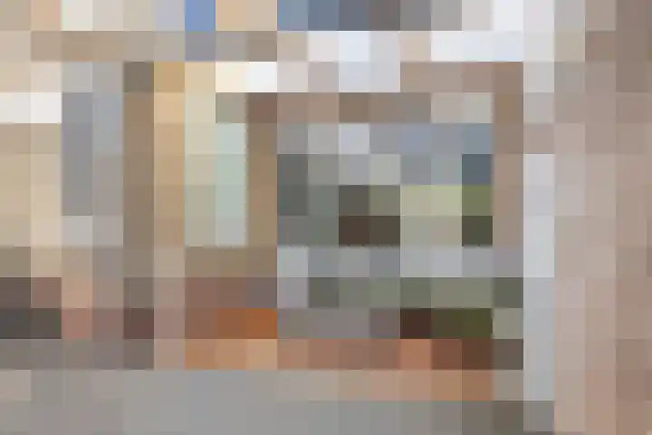 Malingréstraat 3 Oudheusden thumbnail 32