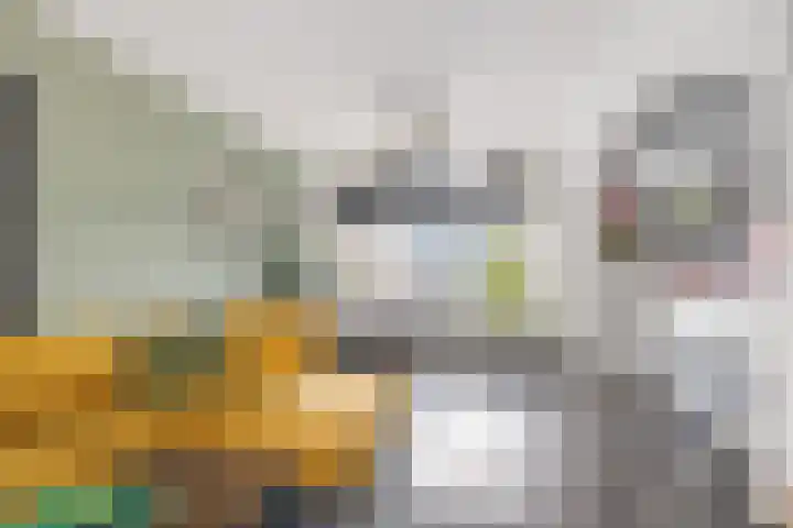 Malingréstraat 3 Oudheusden thumbnail 4