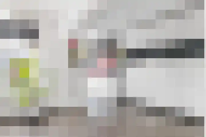 Malingréstraat 3 Oudheusden thumbnail 5