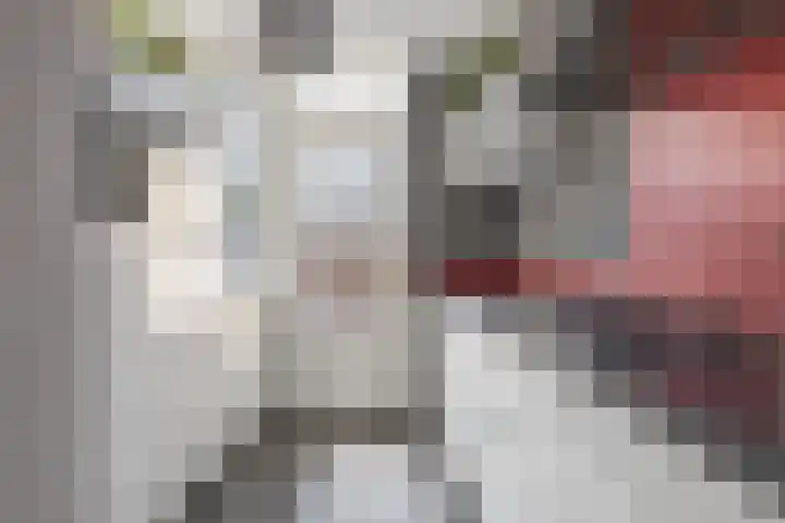 Malingréstraat 3 Oudheusden thumbnail 9