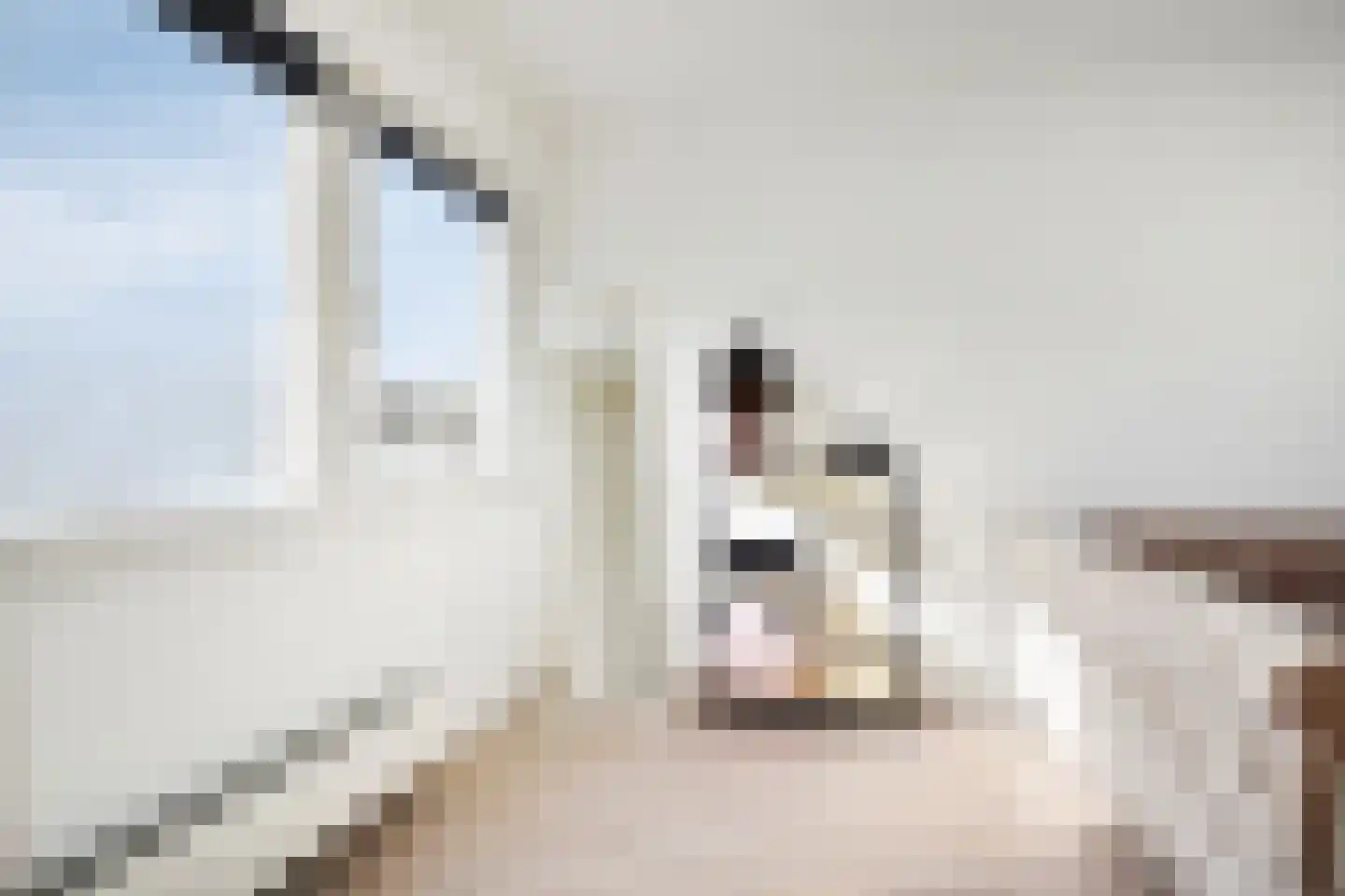 Malisingel 29 Delft thumbnail 17