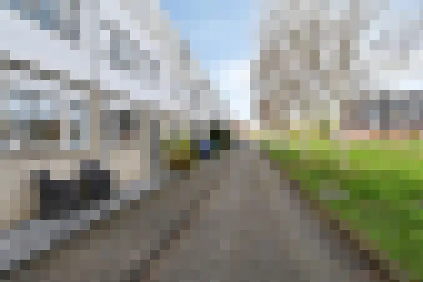 Malisingel 29 Delft thumbnail 29