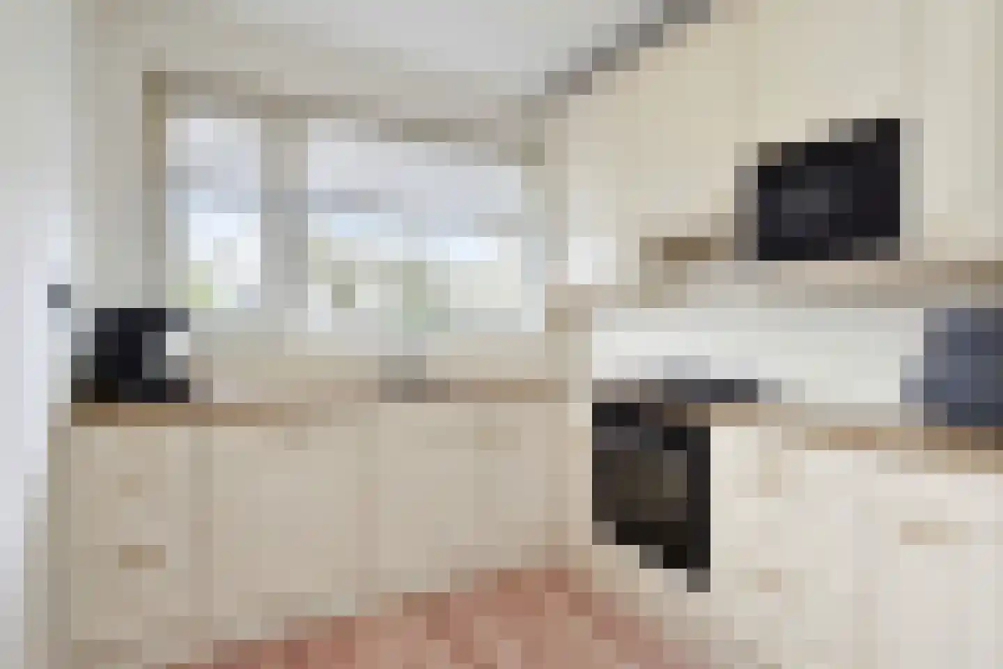 Malisingel 29 Delft thumbnail 9
