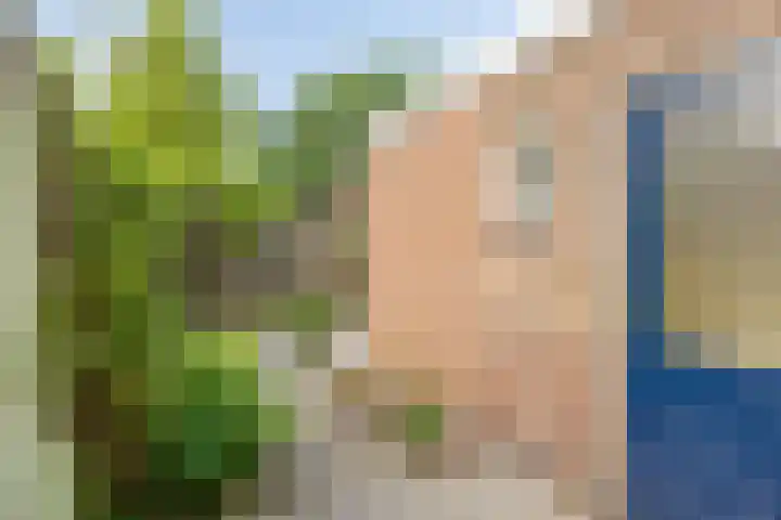 Maliskampsestraat 17 Rosmalen thumbnail 22