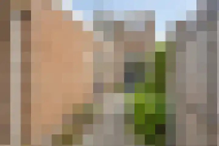 Maliskampsestraat 17 Rosmalen thumbnail 23
