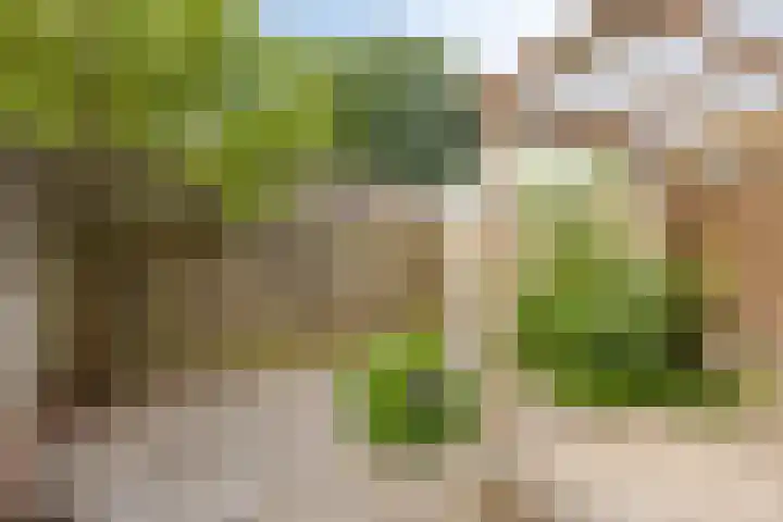 Maliskampsestraat 17 Rosmalen thumbnail 24