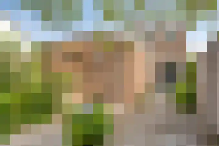 Maliskampsestraat 17 Rosmalen thumbnail 25