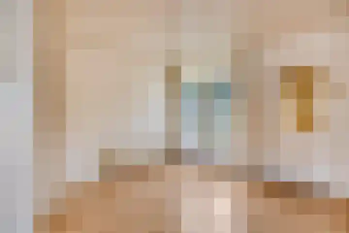 Maliskampsestraat 17 Rosmalen thumbnail 8