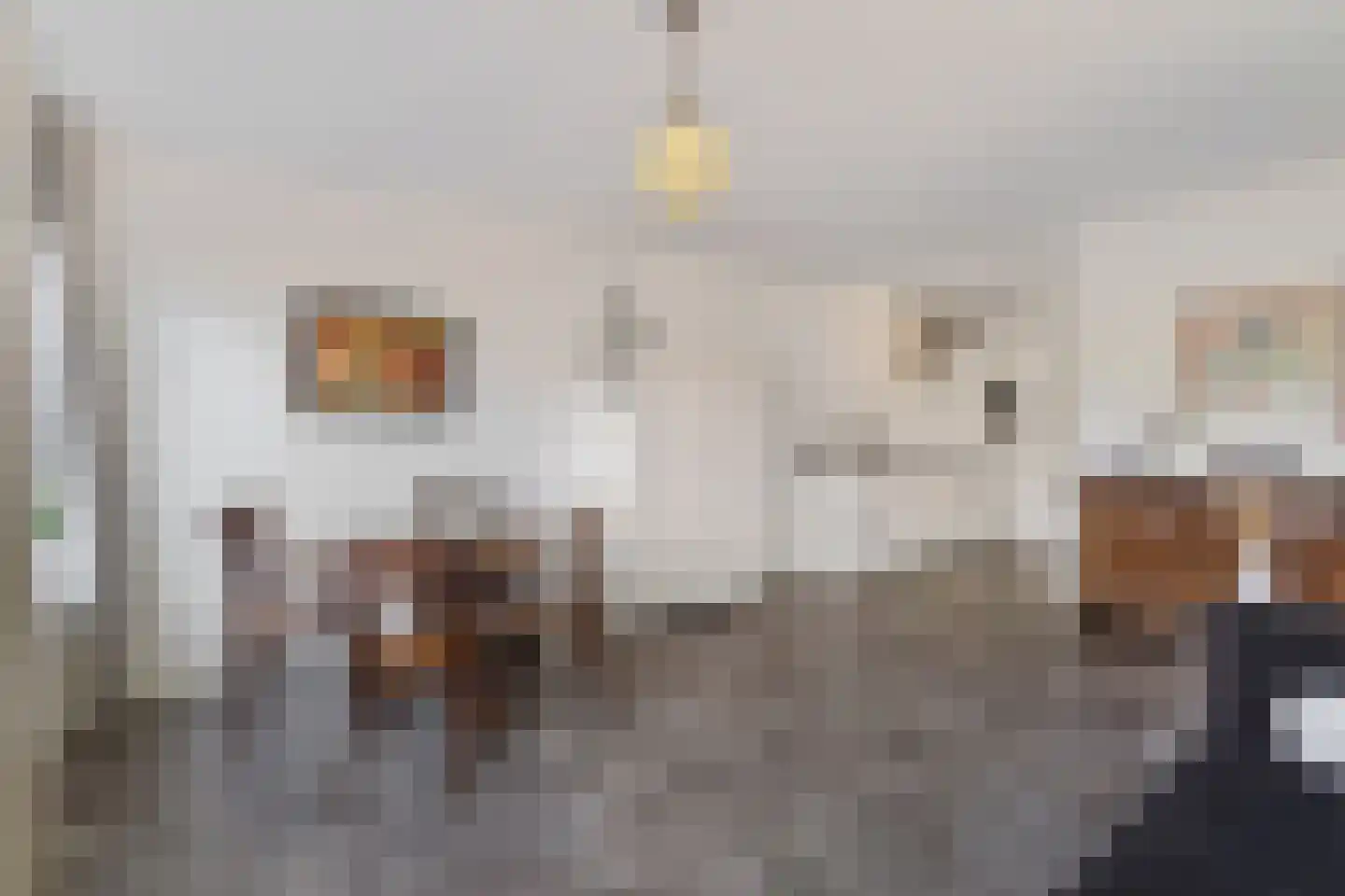 Maliskampsestraat 2 A Rosmalen thumbnail 13