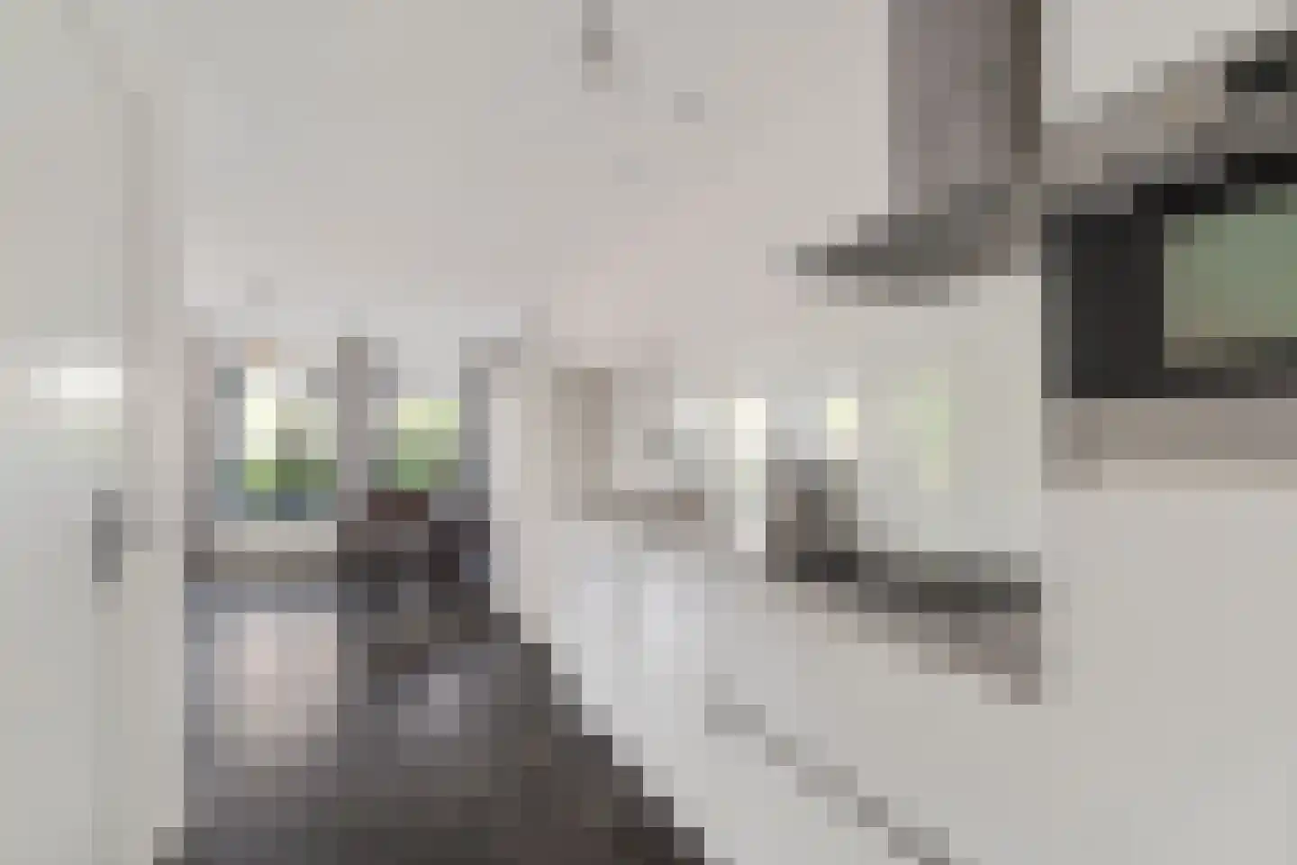Maliskampsestraat 2 A Rosmalen thumbnail 14