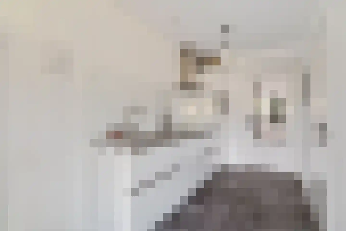 Maliskampsestraat 2 A Rosmalen thumbnail 16
