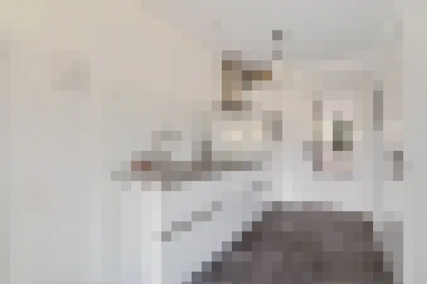 Maliskampsestraat 2 A Rosmalen thumbnail 17