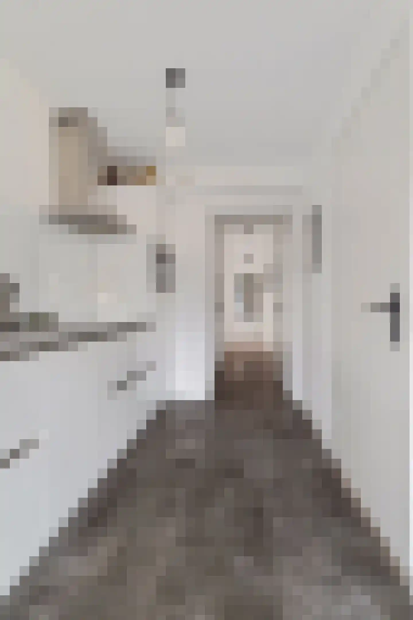 Maliskampsestraat 2 A Rosmalen thumbnail 20