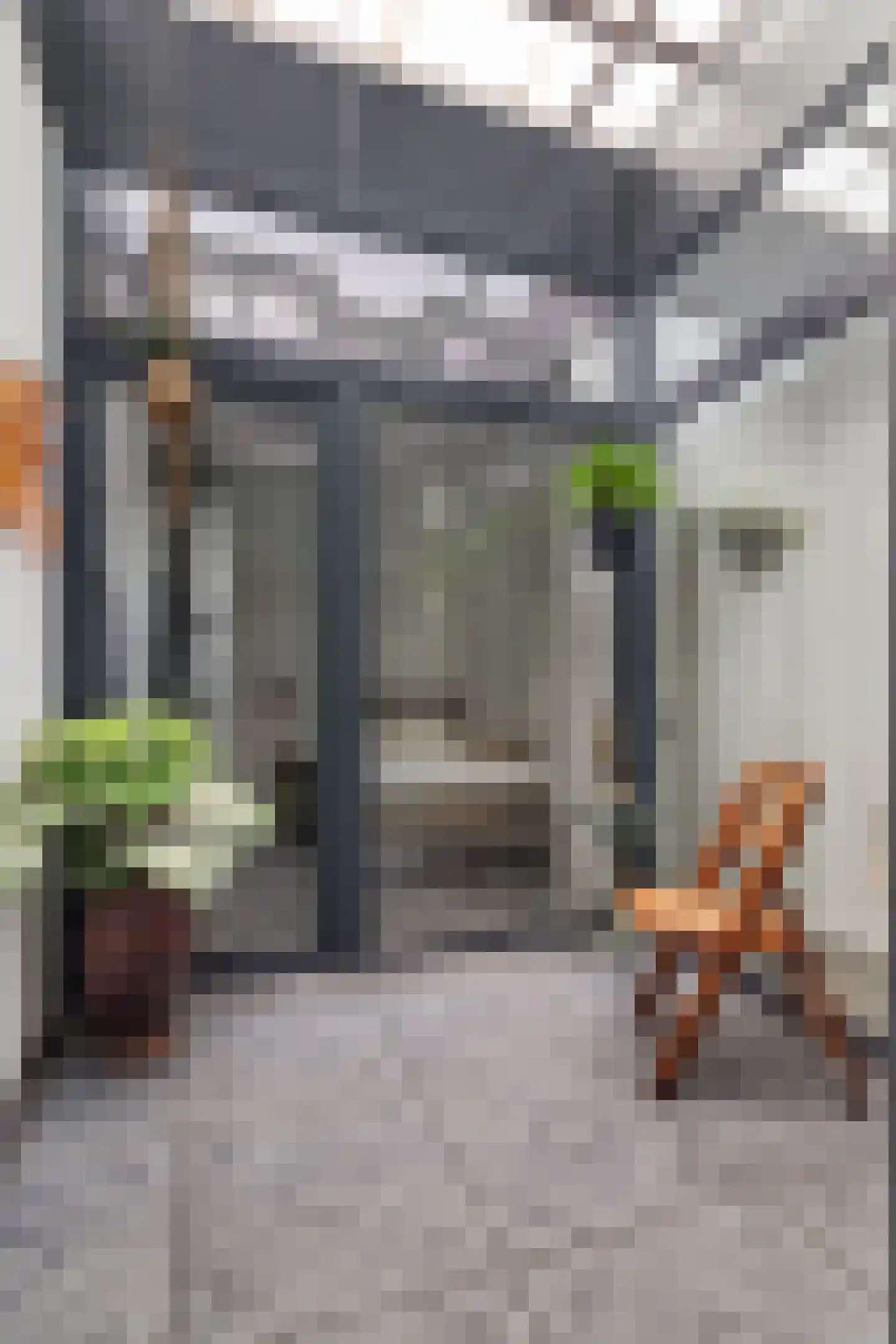 Maliskampsestraat 2 A Rosmalen thumbnail 27