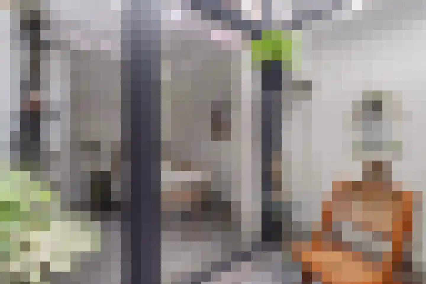 Maliskampsestraat 2 A Rosmalen thumbnail 28