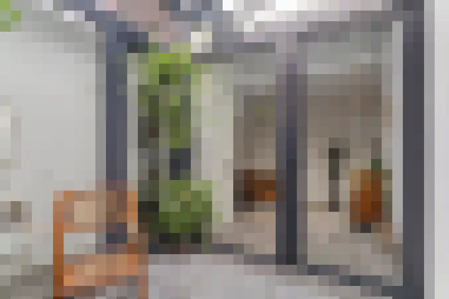 Maliskampsestraat 2 A Rosmalen thumbnail 30