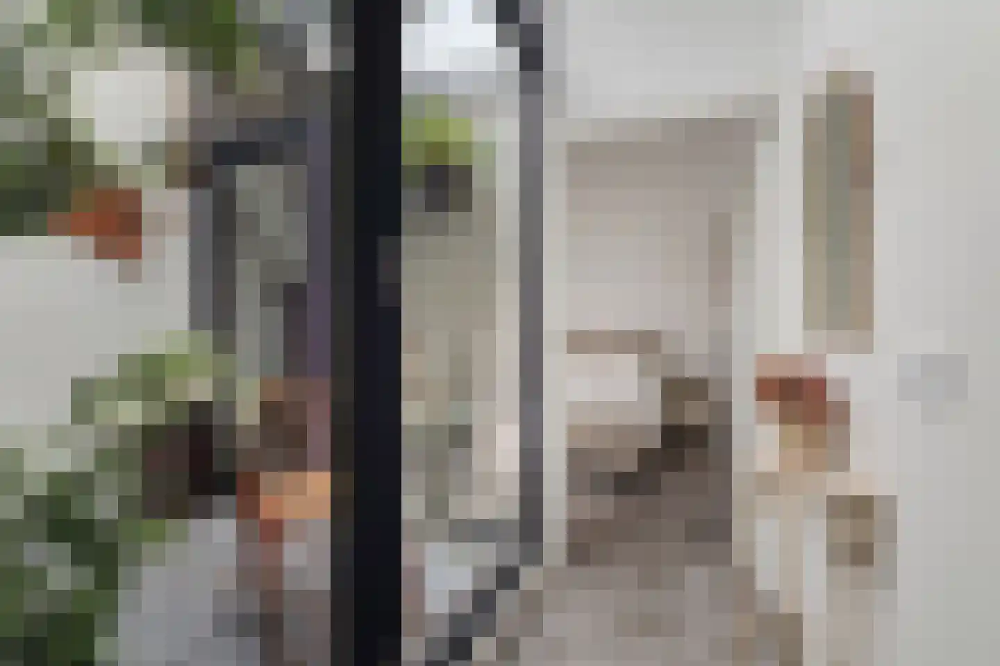 Maliskampsestraat 2 A Rosmalen thumbnail 34
