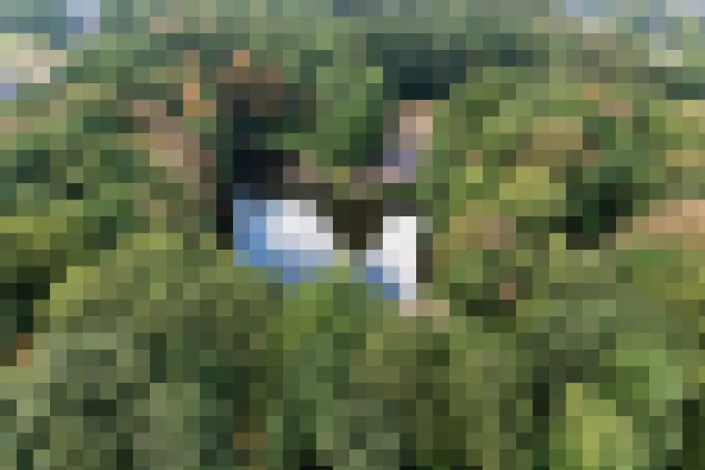 Maliskampsestraat 2 A Rosmalen thumbnail 36