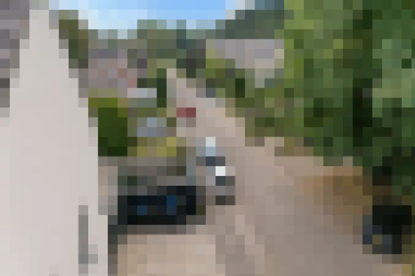 Maliskampsestraat 2 A Rosmalen thumbnail 37