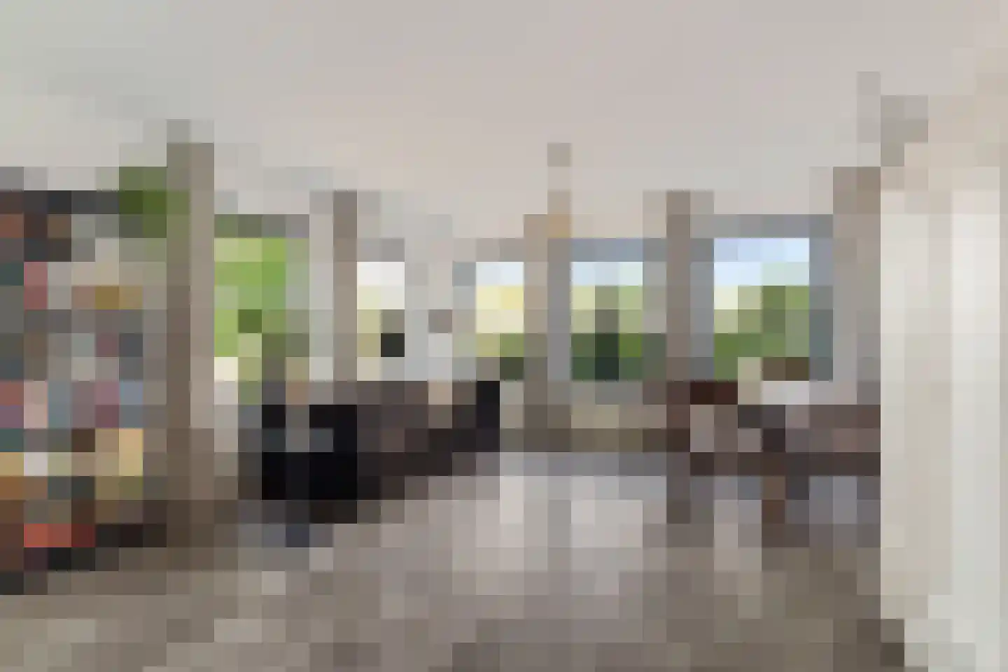 Maliskampsestraat 2 A Rosmalen thumbnail 6