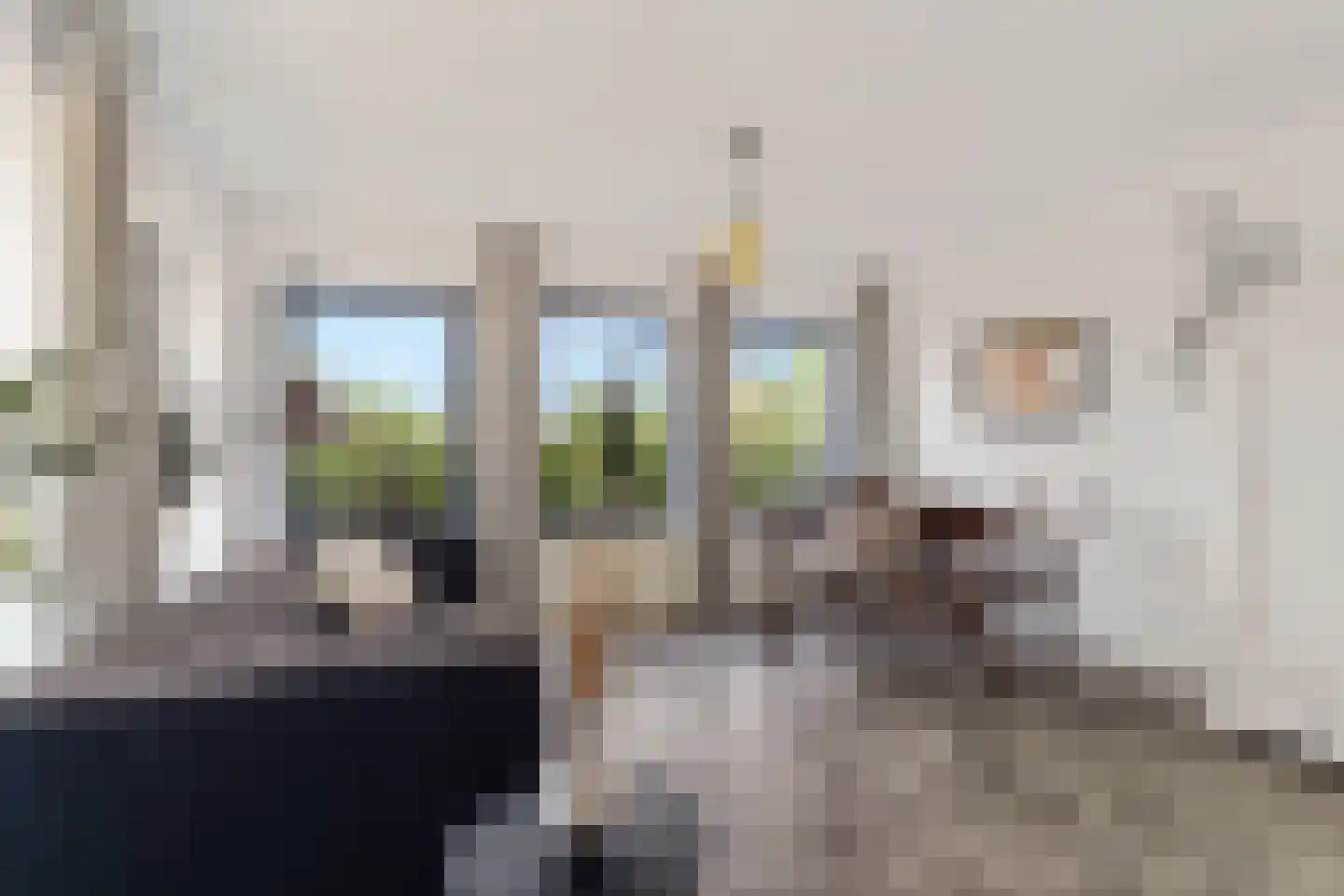 Maliskampsestraat 2 A Rosmalen thumbnail 7