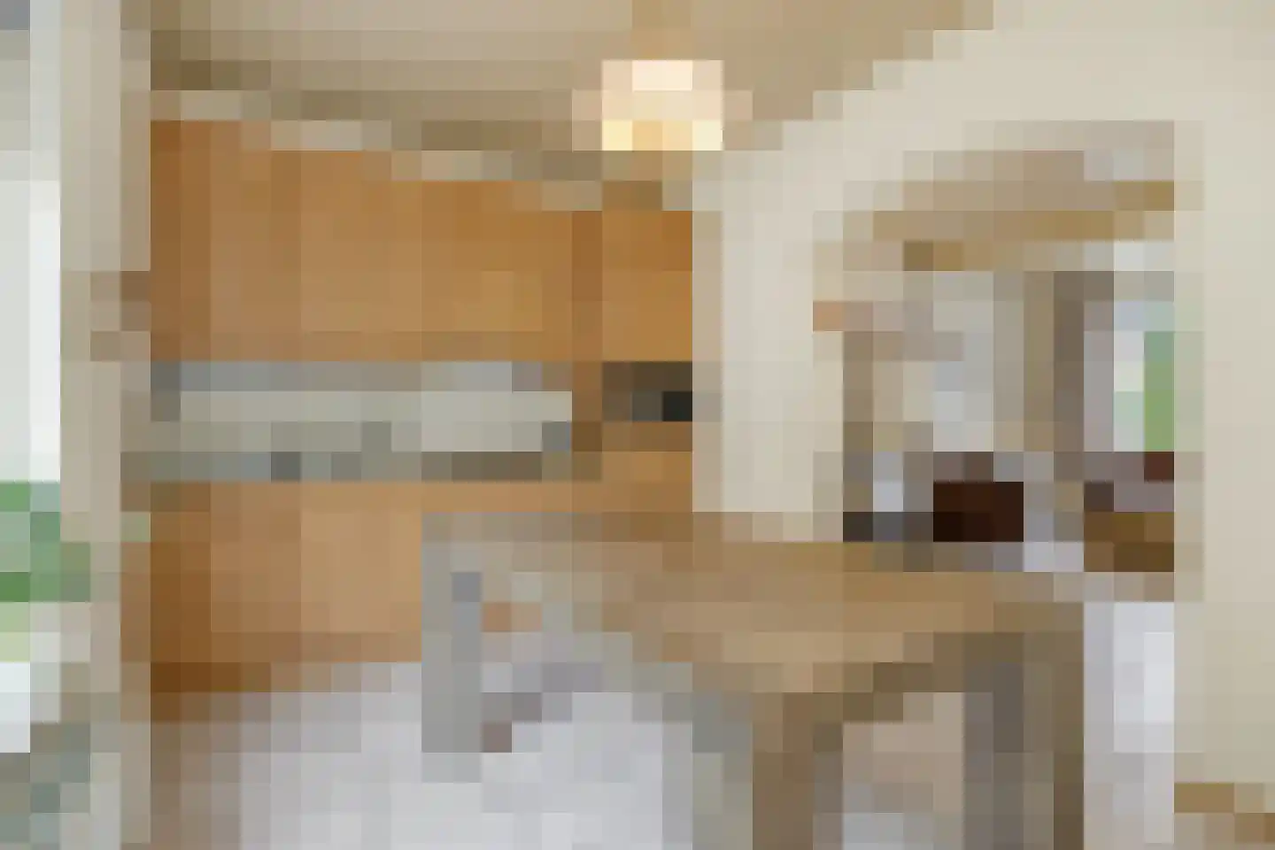 Maliskampsestraat 4 Rosmalen thumbnail 11