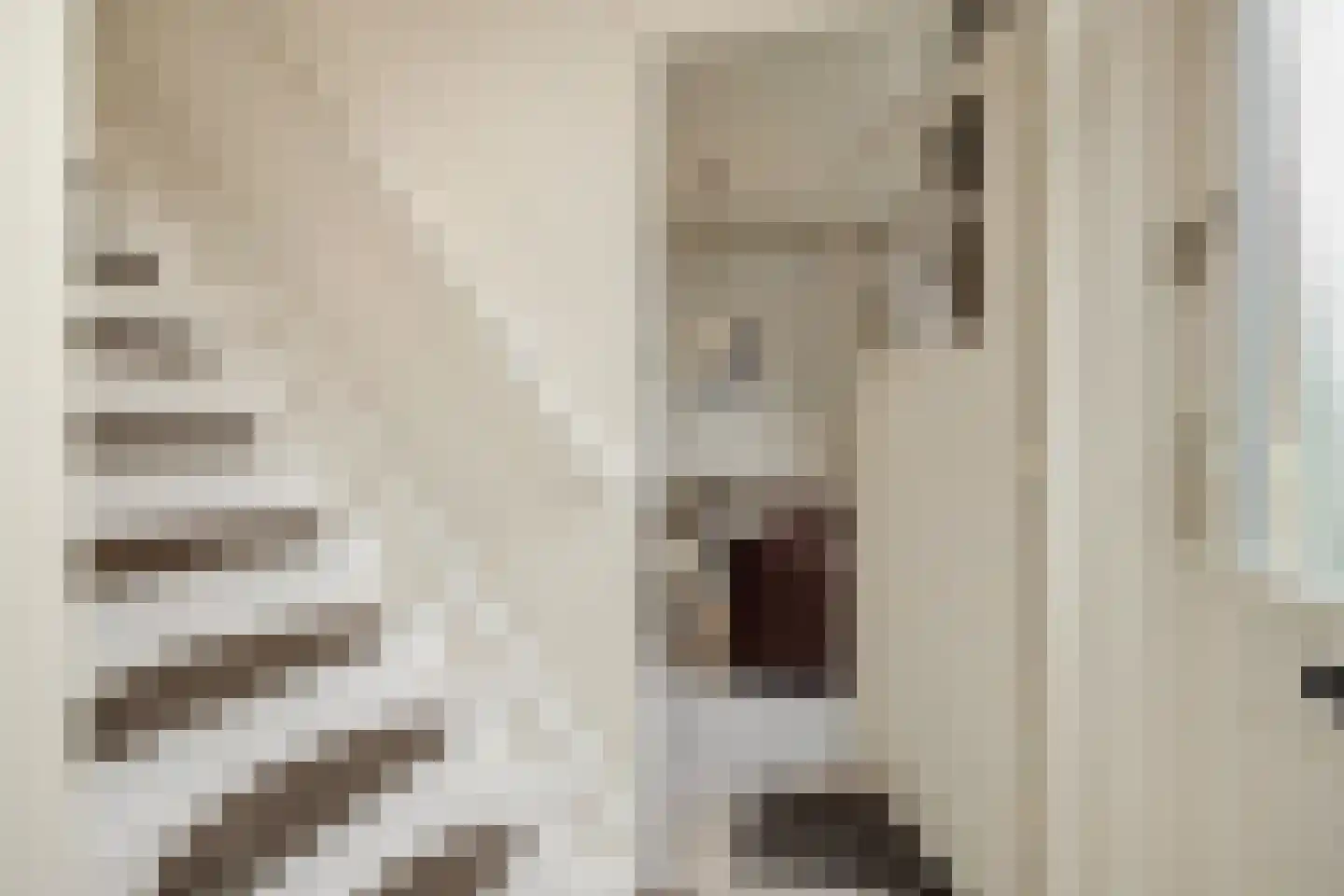 Maliskampsestraat 4 Rosmalen thumbnail 16