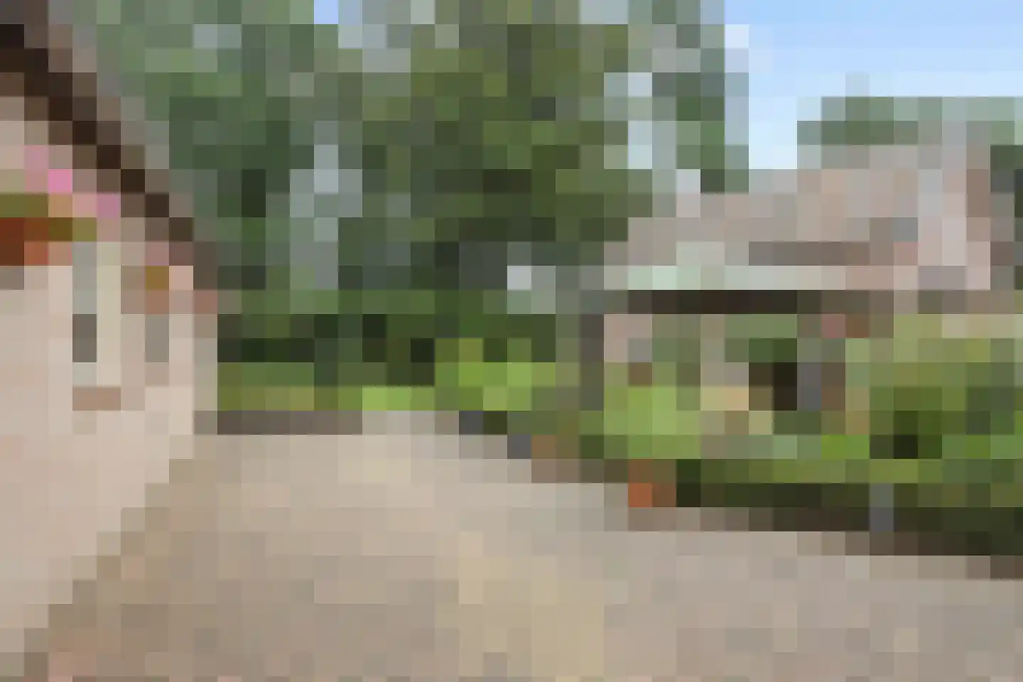 Maliskampsestraat 4 Rosmalen thumbnail 24