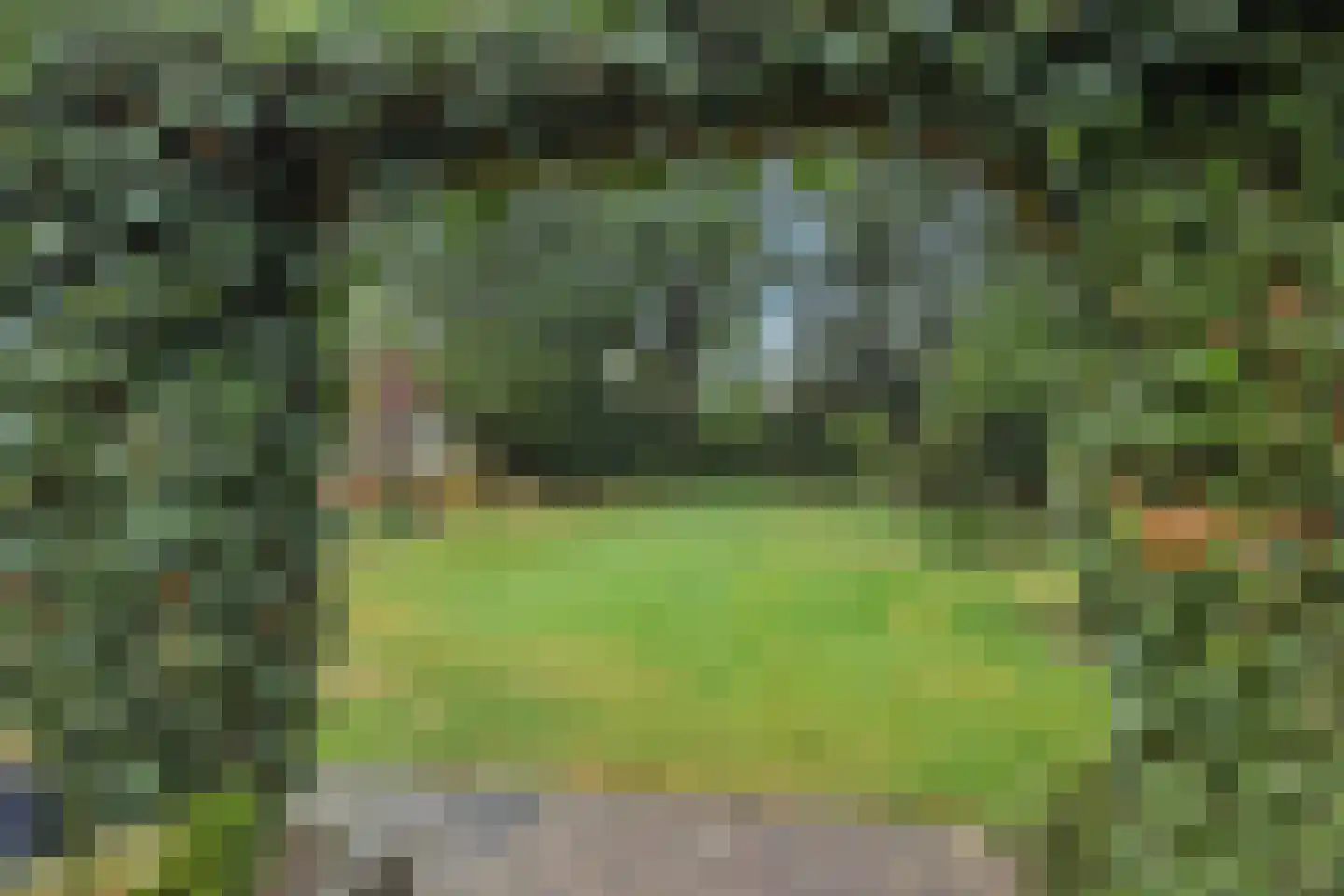 Maliskampsestraat 4 Rosmalen thumbnail 31