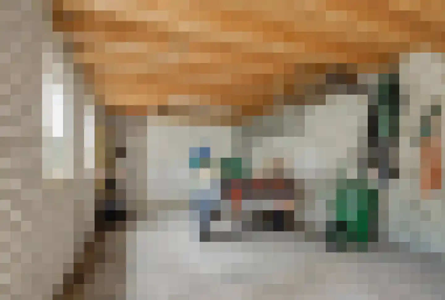 Maliskampsestraat 4 Rosmalen thumbnail 33