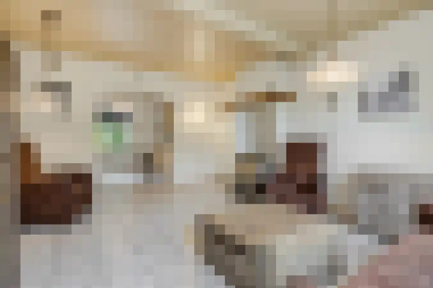 Maliskampsestraat 4 Rosmalen thumbnail 6