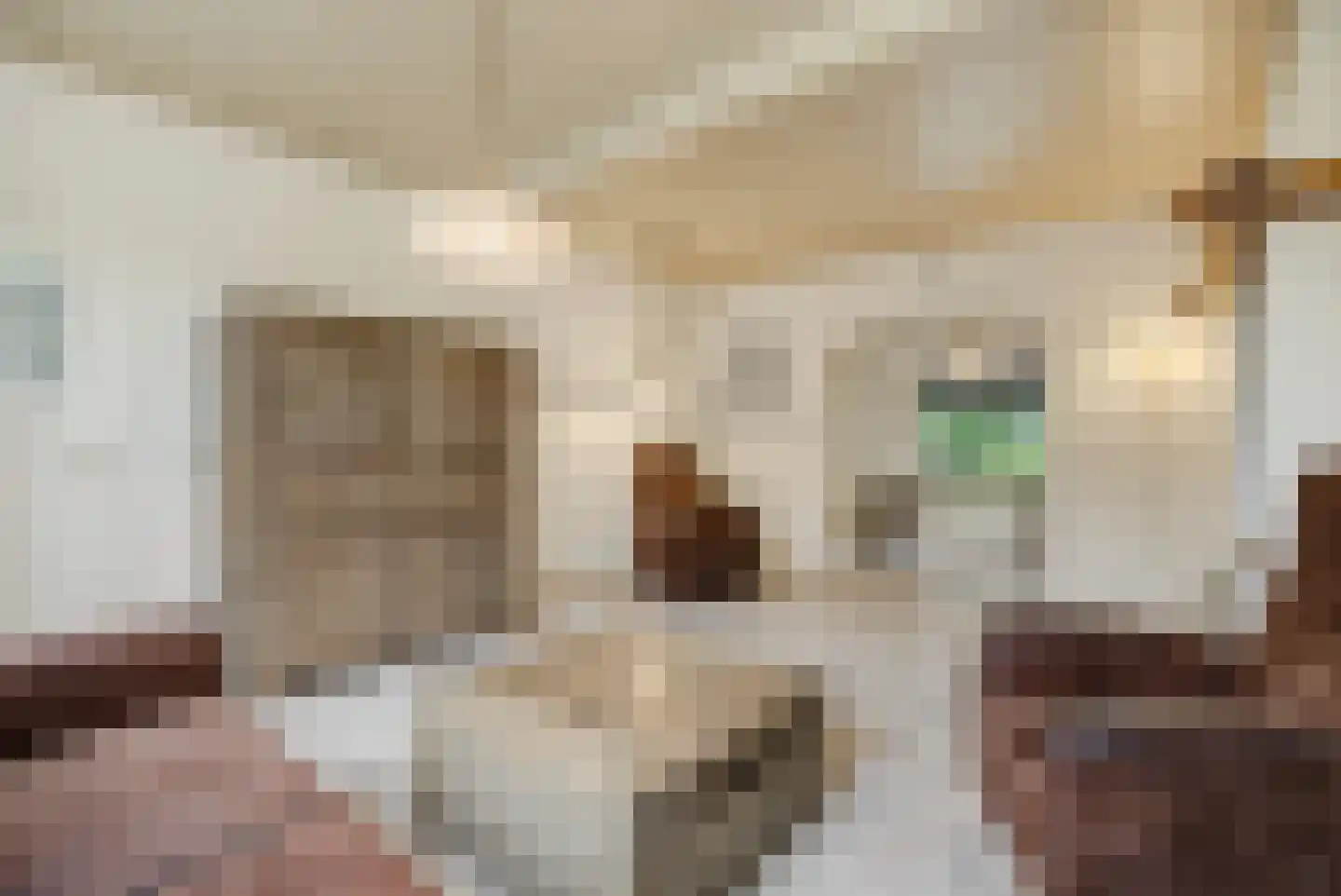 Maliskampsestraat 4 Rosmalen thumbnail 8