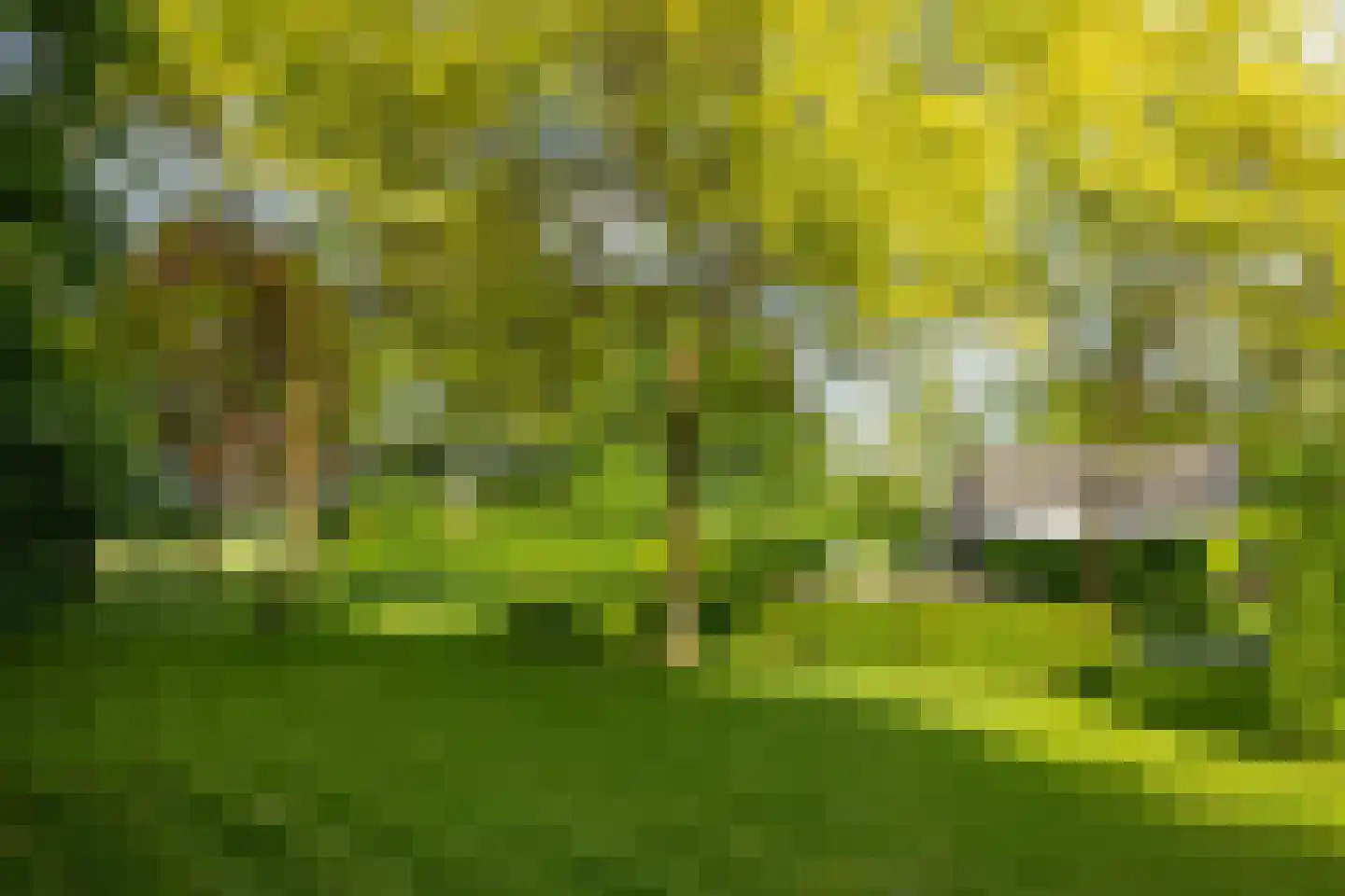 Maliskampsestraat 86 Rosmalen thumbnail 12