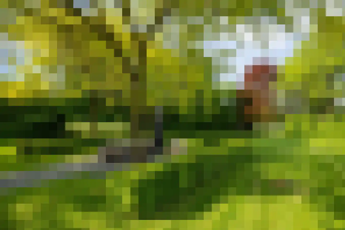 Maliskampsestraat 86 Rosmalen thumbnail 13