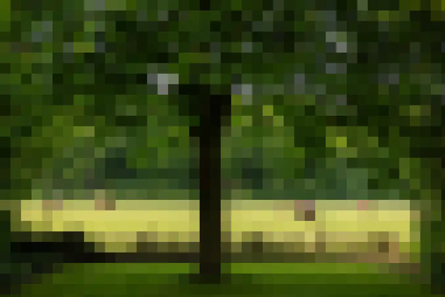 Maliskampsestraat 86 Rosmalen thumbnail 15