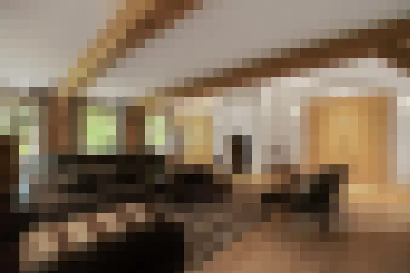 Maliskampsestraat 86 Rosmalen thumbnail 17