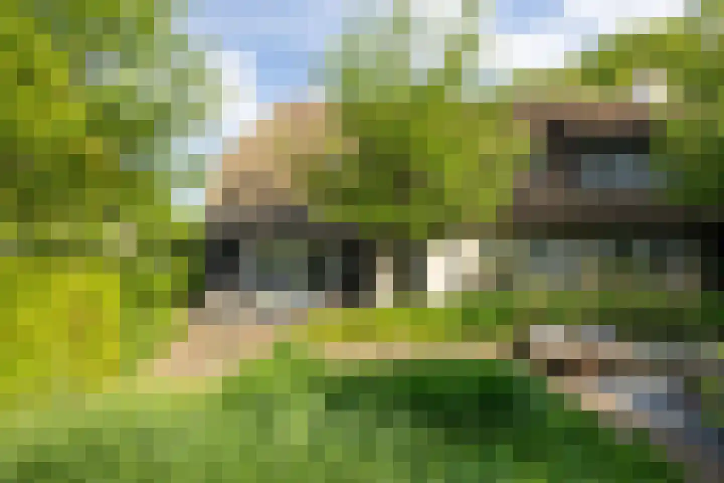 Maliskampsestraat 86 Rosmalen thumbnail 20