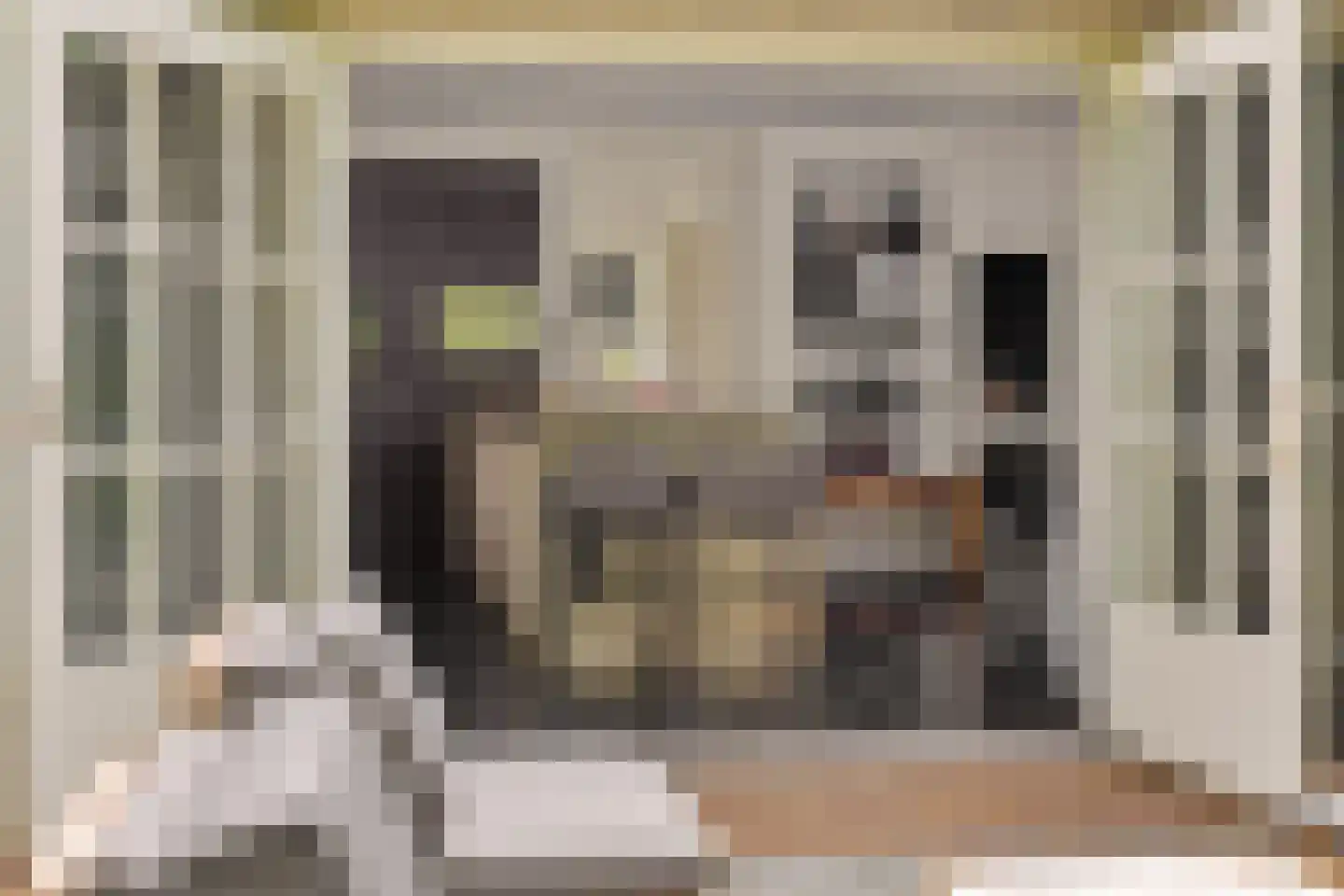 Maliskampsestraat 86 Rosmalen thumbnail 21