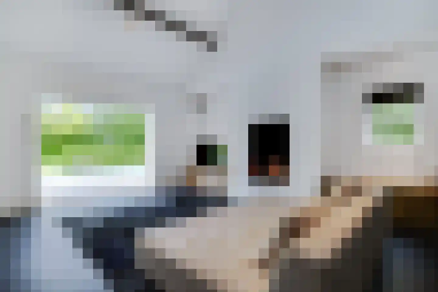 Maliskampsestraat 86 Rosmalen thumbnail 29