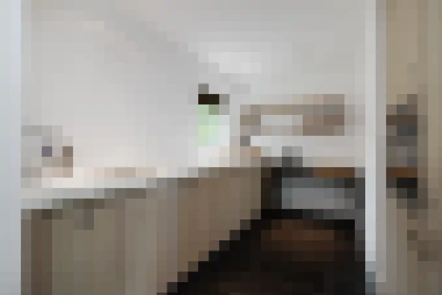 Maliskampsestraat 86 Rosmalen thumbnail 30