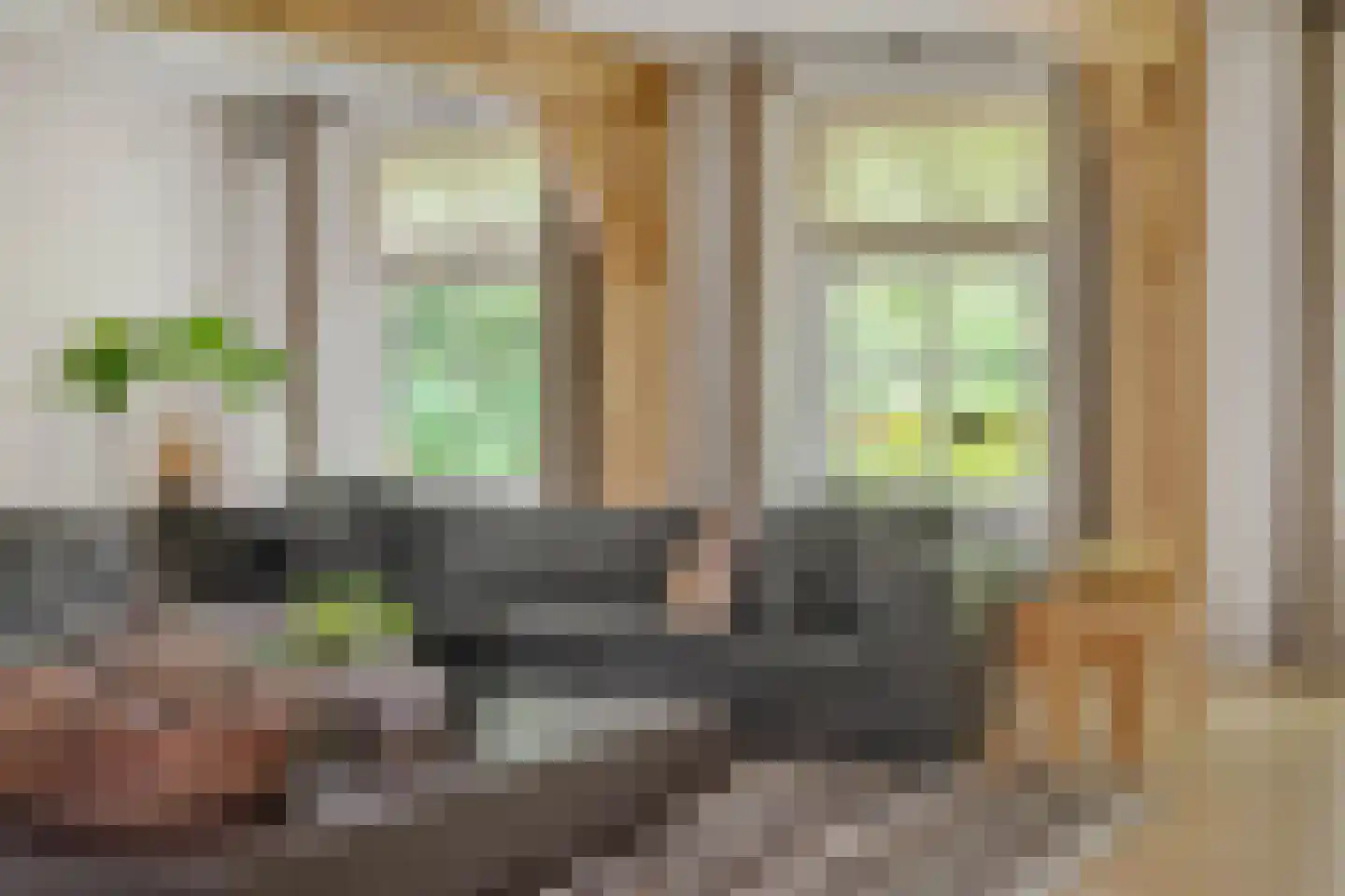 Maliskampsestraat 86 Rosmalen thumbnail 6
