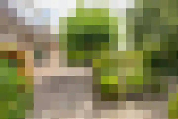 Mallebrugge 2 Katwijk thumbnail 31