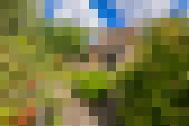 Mallebrugge 2 Katwijk thumbnail 32
