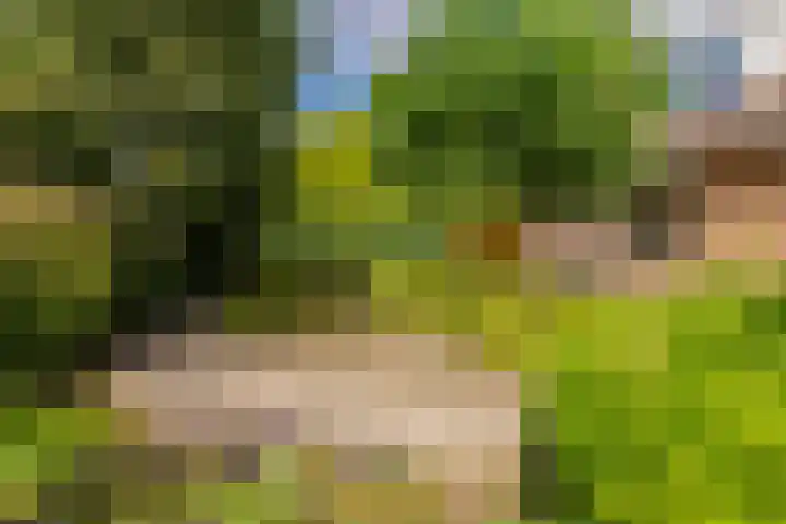 Mallebrugge 2 Katwijk thumbnail 33