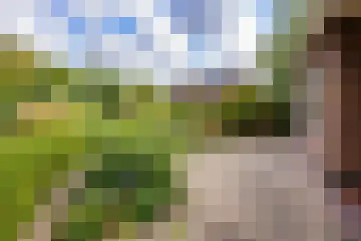 Mallebrugge 2 Katwijk thumbnail 34